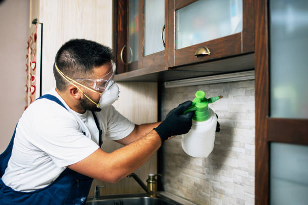 Best Exterminator Services  in Sherwood Manor, CT