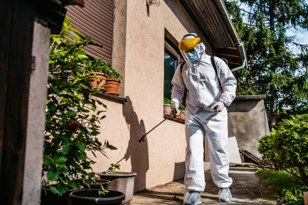 Best Spider Control Near Me  in Sherwood Manor, CT