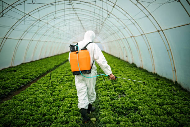 Professional Pest Control in Sherwood Manor, CT